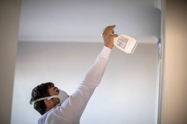 Best Black Mold Removal  in Ragland, AL