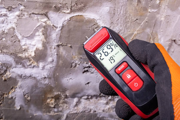 Best Mold Testing  in Ragland, AL